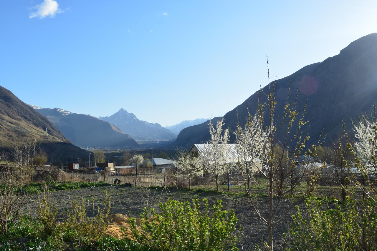 Ekaterine Guest House Kazbegi Extérieur photo